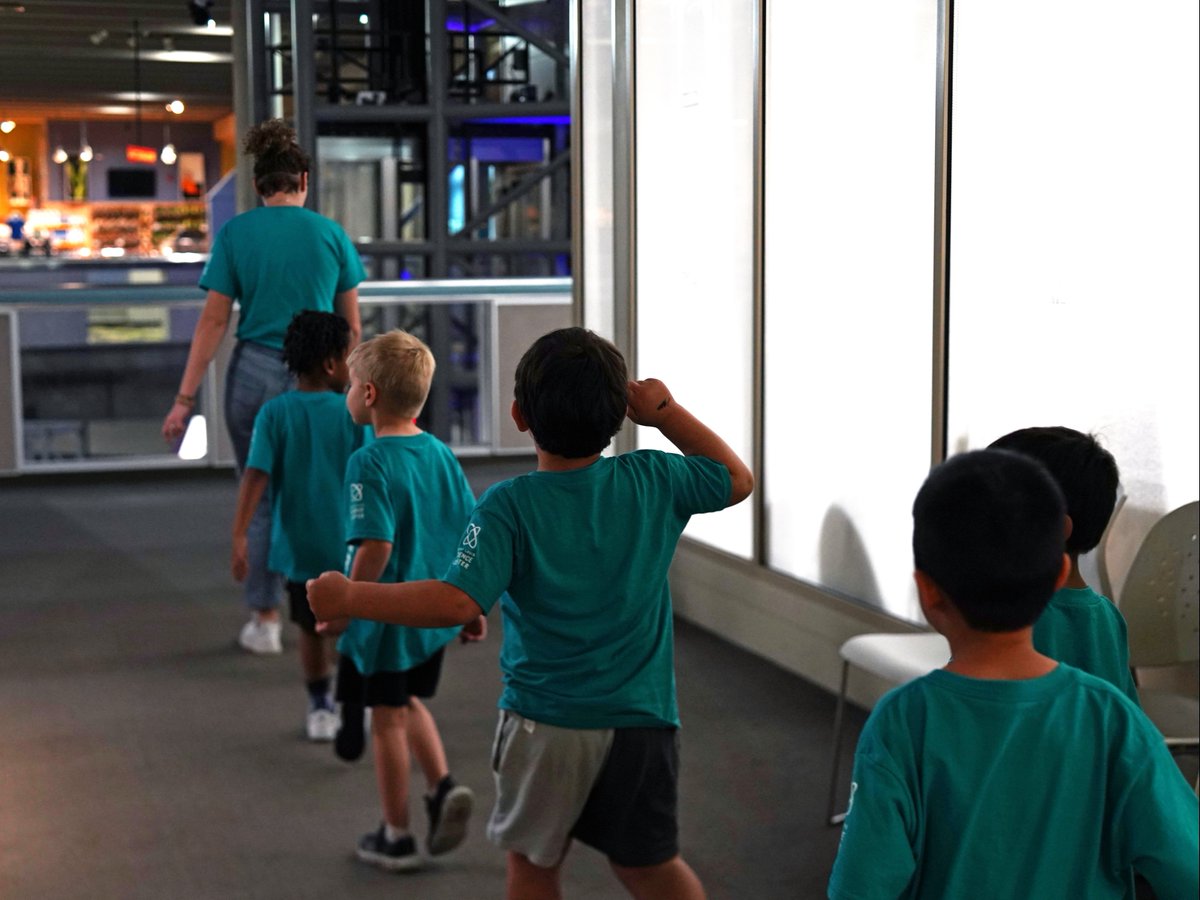 STLScienceCtr's tweet photo. Inspire the next generation of scientists as a Summer STEM Explorers #CampCounselor! 🧪⚙️ Guide ages 5–9 in hands-on STEM adventures, from robotics to paleontology. 💼 $16.80/hr | 📅 May 19–July 29, 2025 | 🕒 M–F shifts. Passionate about #STEM? Apply now: https://t.co/cvr6h0F1Bc https://t.co/aHO7HjEBOU