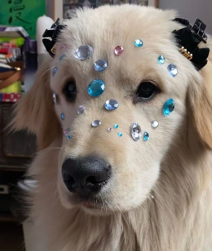 the same picture actually