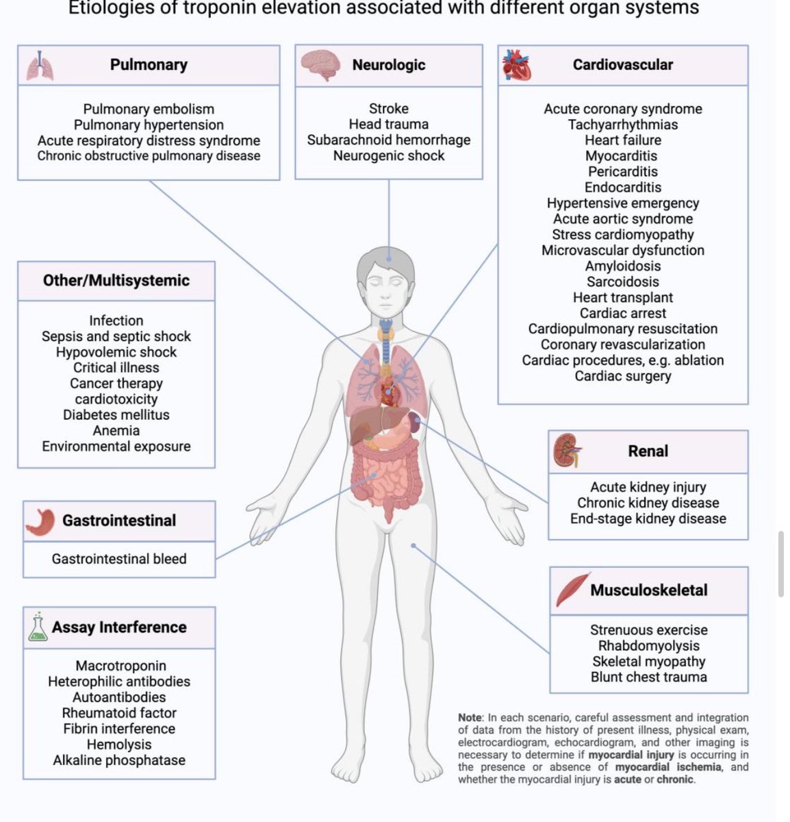 📍 La era de la troponinitis
🗣️Diferencia  entre lesión miocardica, isquemia miocardica e infarto 
✅ Tienes tropis elevadas: busca isquemia ( Dolor torácico, ECG, ECOTT) 
👀Causas de elevación de troponinas : 
EVC, TEP, sepsis, enfermedad renal, sangrado intestinal etc….