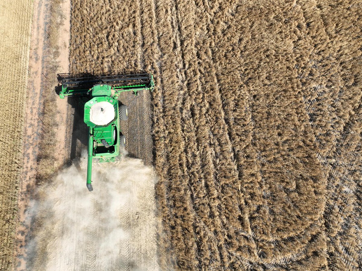 Late post but glad its finally done!! Harvest 24/25!! Was a slog!! #70daysfromstartdatetofinish