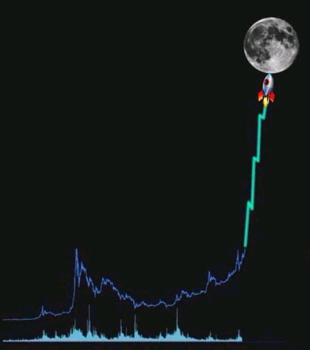 Not Elon Musk tweet media