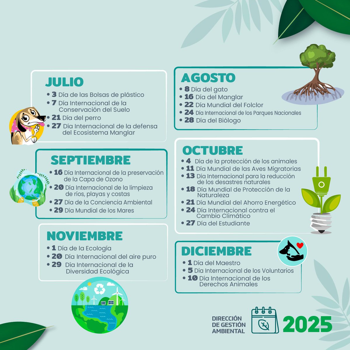 Feliz Día de la Educación Ambiental 🌳