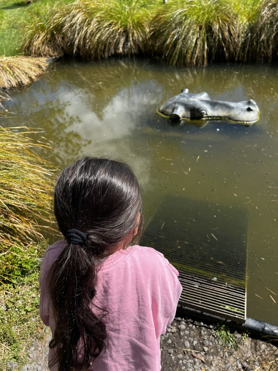 "Can we go see the cow" 

The cow: