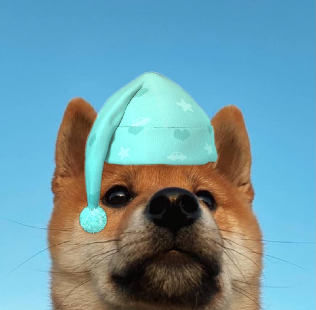 GOODNIGHT $BENO. BIG THINGS COMING DON’T GET SIDELINED ANON. 

TRUST THE PUP