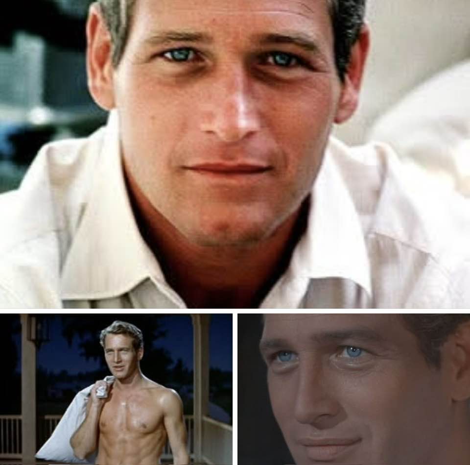 greghernandez's tweet photo. Paying tribute today to the late, great Paul Newman born on this day 100 years ago. An unforgettable movie star and philanthropist. READ MORE: https://t.co/WeusBE2BJb #PaulNewman https://t.co/myuy049WZz