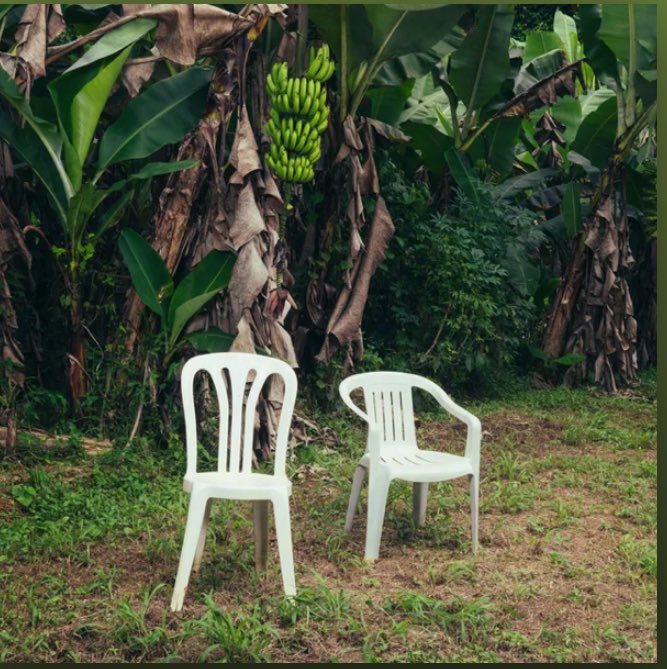 CARLOS HDZ VQZ tweet media