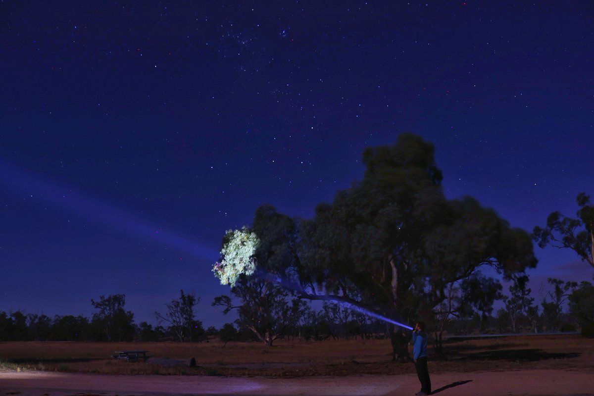 Remember to submit your photos for the VicBioCon25 photo comp before February 11th for a chance to win some cool prizes!📸 Post with the hashtag #VicBioCon25photo or email photos to vicbiocon@gmail.com, more info at vicbiocon.com/photo-comp 🌱

📷 Benjamin Wagner | <a href="/gliderhabitat/">Ben Wagner</a>
