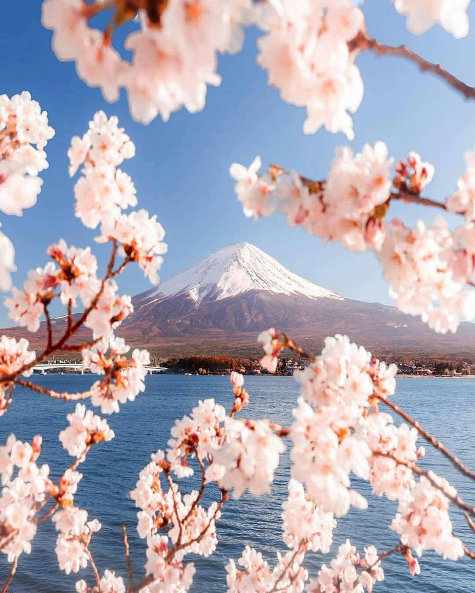 aestheticspost_'s tweet photo. Japan https://t.co/aSEC4sjJPN