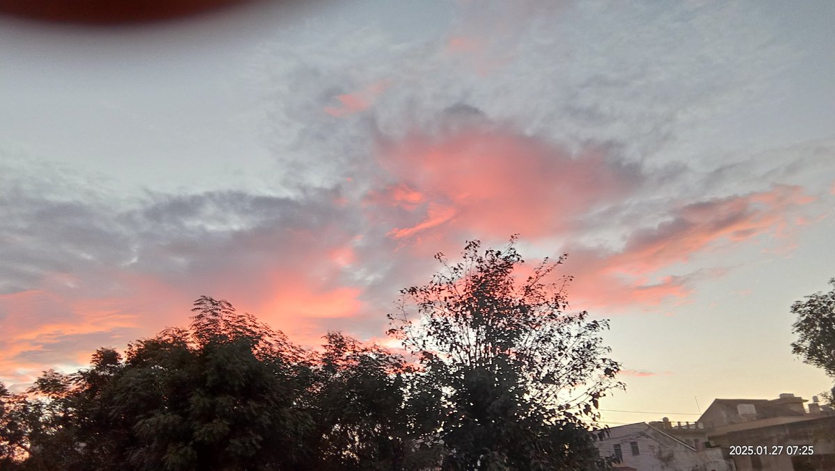 MP_1476's tweet photo. सुबह सुबह 😍
#Morning_Click https://t.co/Y3X2z7Bb93