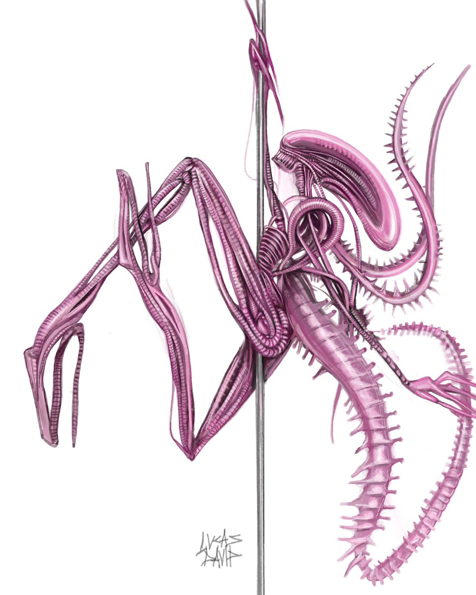 lucasbavid's tweet image. ✩