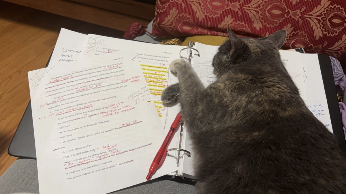 ragidy_ann's tweet photo. Maybe someday my cat will let me finish my novel https://t.co/v4z1NG6GHi