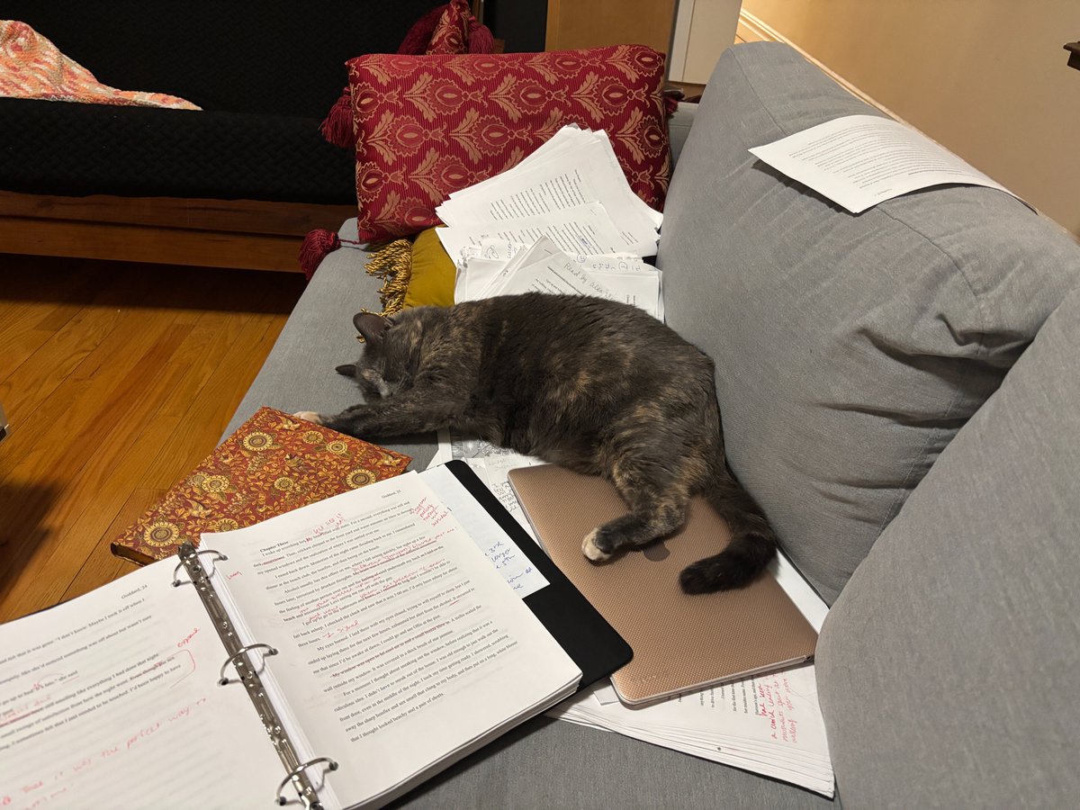 ragidy_ann's tweet photo. Maybe someday my cat will let me finish my novel https://t.co/v4z1NG6GHi