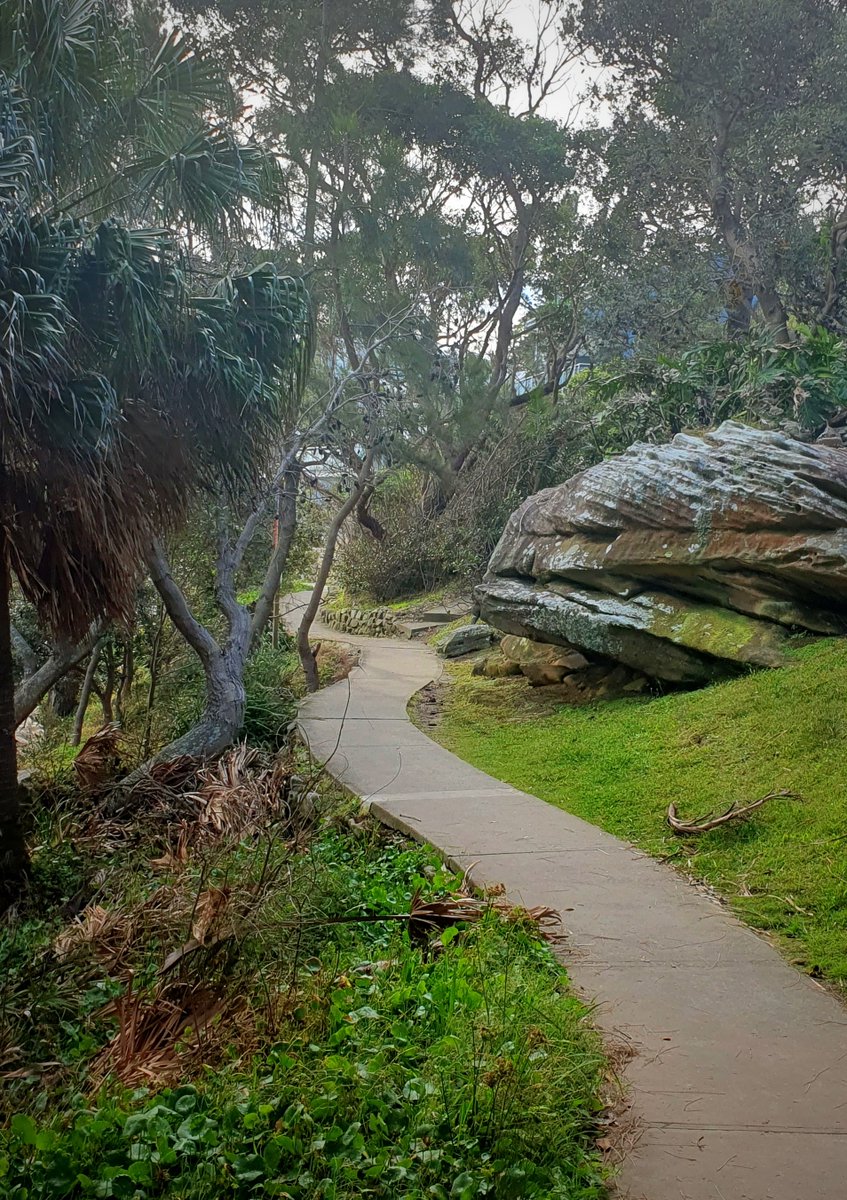 SoulColoursX's tweet photo. Good Morning and Happy Monday from Sydney, #Australia โค๏ธ ๐ฆ๐บ. Have a great week.
Beautiful Cronulla coastal walk. #photography #BeautifulAustralia #LandDownUnder #SoulColours https://t.co/A3ed6b7BDF