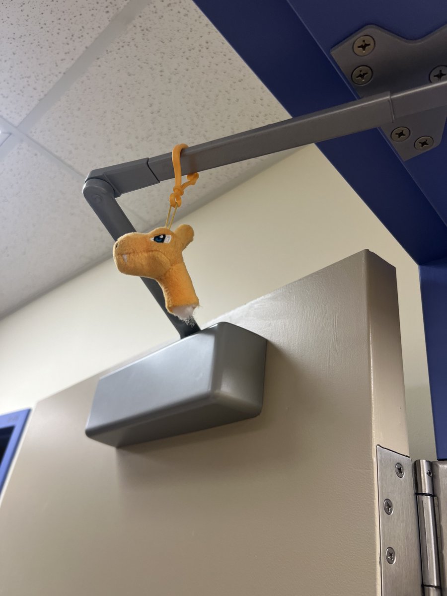 Mohammed tweet media