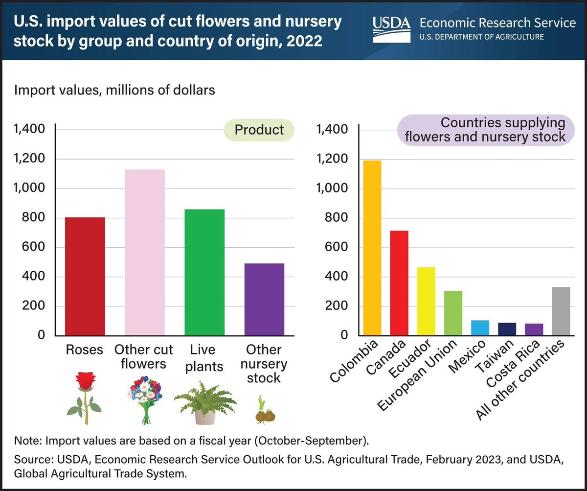 JVanDuskyAllen's tweet photo. Trump just imposed tariffs on Colombia right before Valentine’s Day. Colombia is the largest supplier of roses to the US. https://t.co/qDaph4D8tV