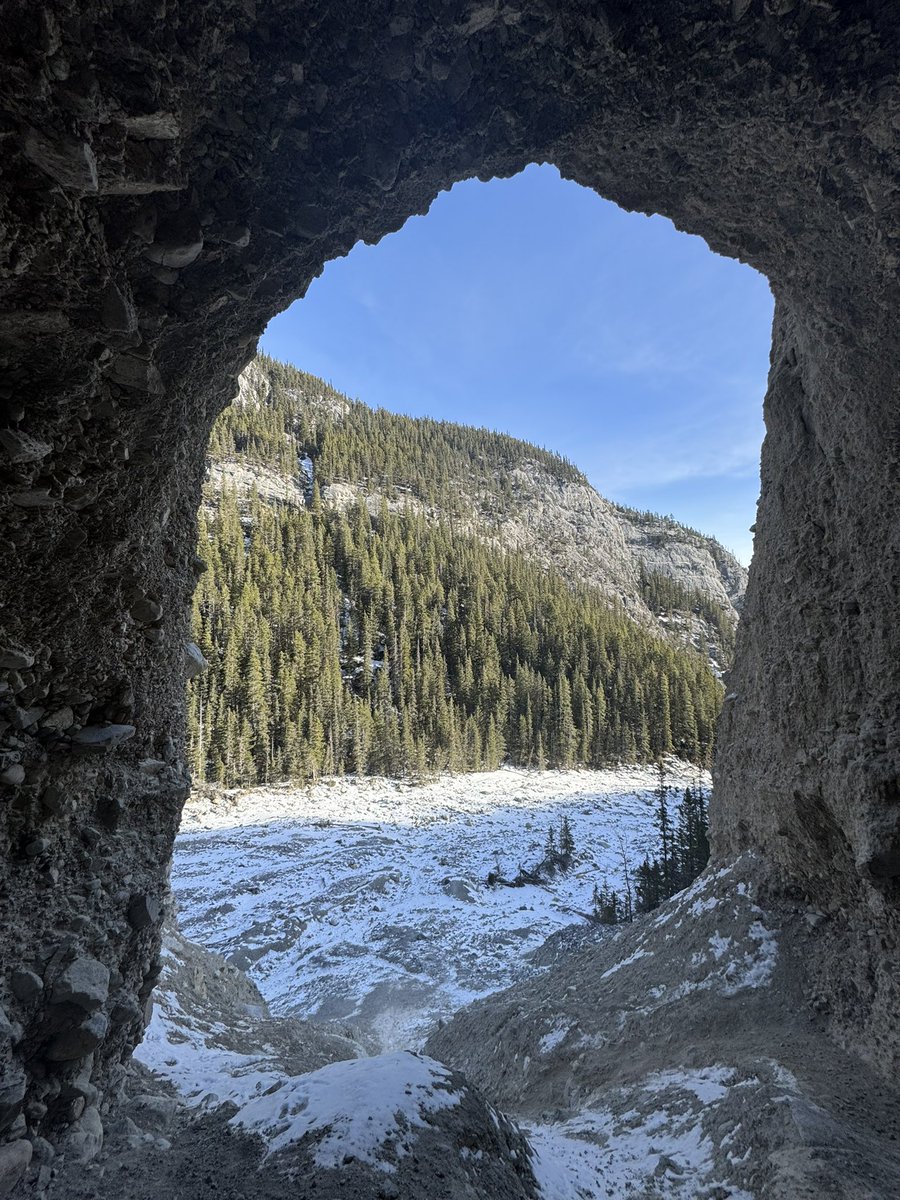 Shane Pelletier (@shaneopelletier) on Twitter photo 