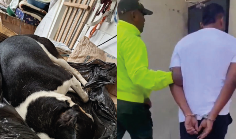 PlataformaALTO's tweet photo. ¡Atención! La Fiscalía judicializó a Gustavo Muñoz Ramírez, el veterinario responsable de asesinar cruelmente al perrito Yogui, propinándole de forma  repetida varias descargas eléctricas en el interior de una vivienda del barrio Diablos Rojos, en Tuluá

Exigimos la máxima pena contra este criminal.
¡Los animales se respetan, justicia por Yogui!