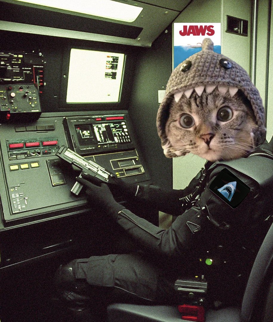 Shark Cat 🦈🐱 tweet media