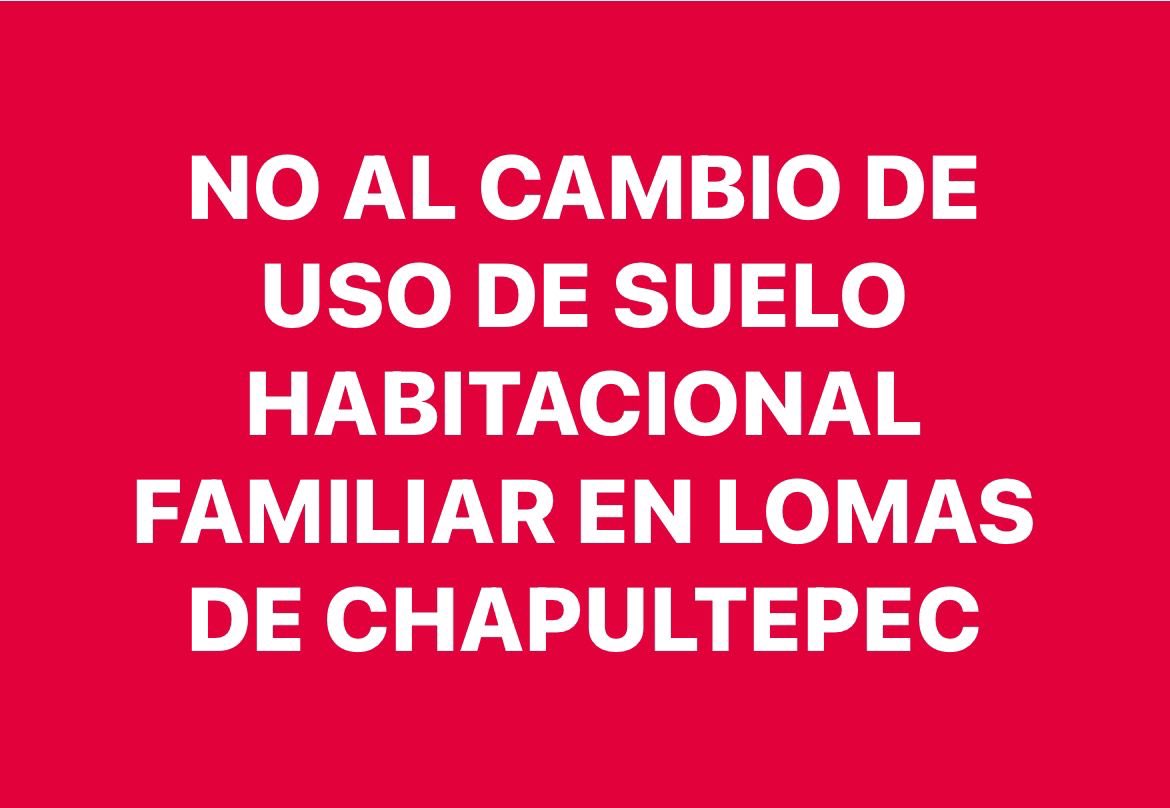 Guadalupe Alonso Coratella (@guadalupealonso) on Twitter photo 