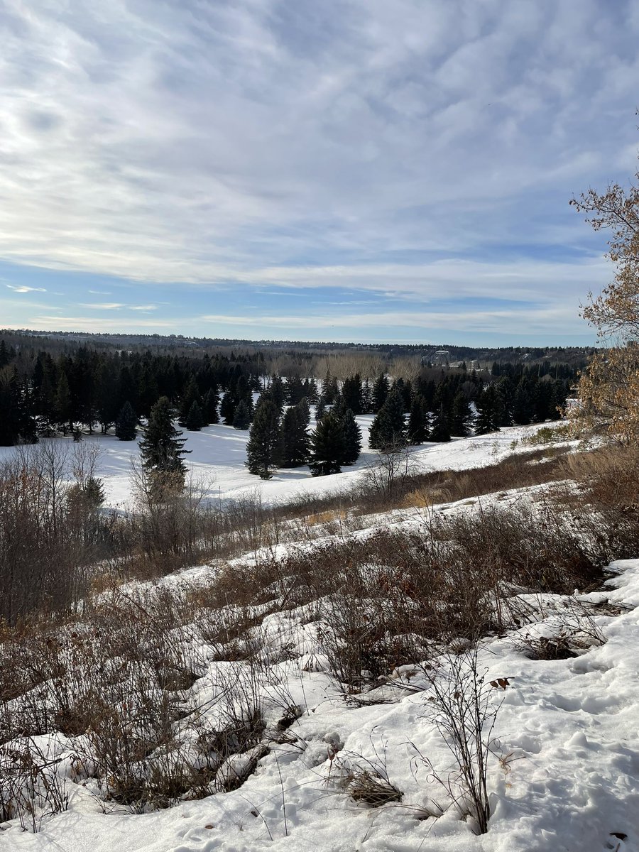 minfengtang's tweet photo. Strolling through Victoria Park on a sunny winter Sunday. Grateful for days like this in Edmonton’s winter - all I ask is for one out of seven days to shine like today! #YEGwinter https://t.co/zpR3Jqjw3g