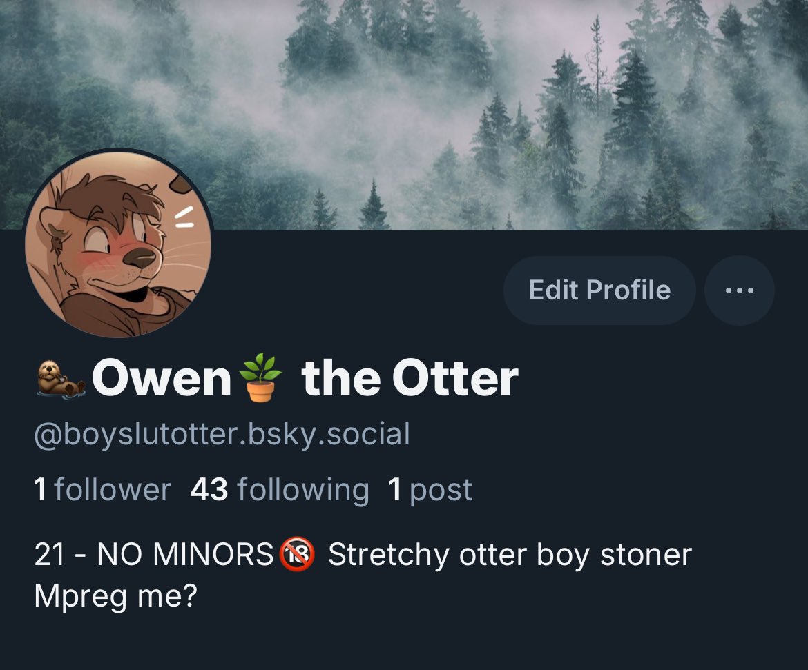 🦦Owen🍃 tweet media