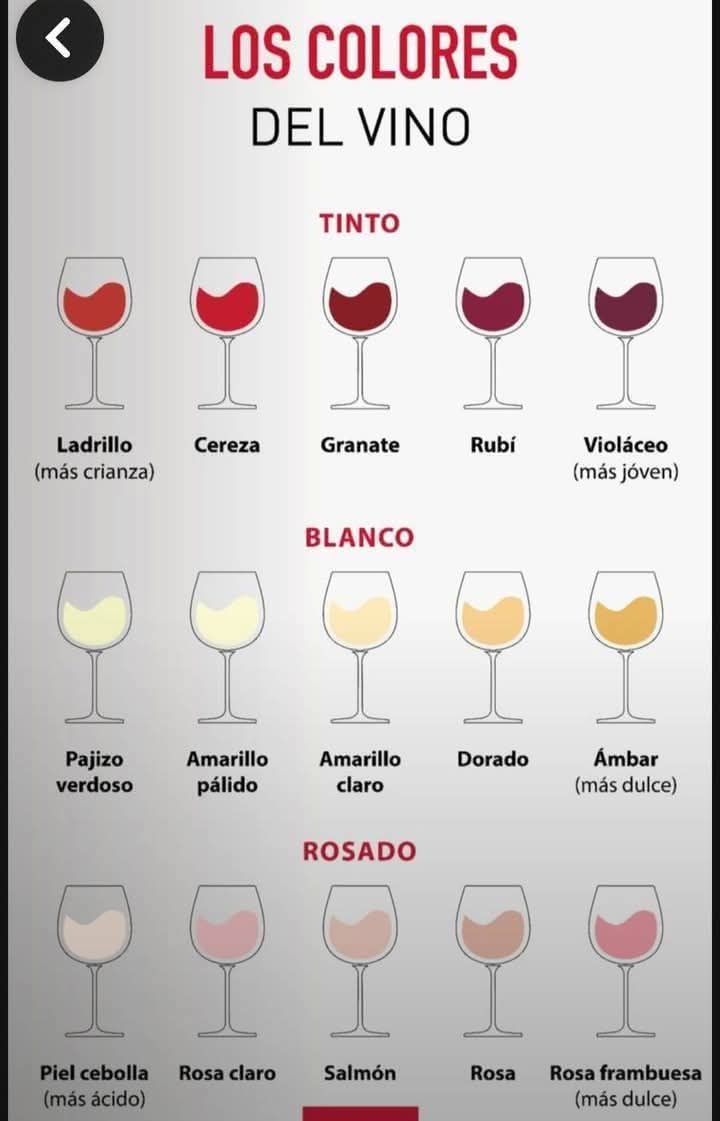 melgarajo's tweet photo. Bodegas Melgarajo os invita a descifrar el color del vino
#melgardeabajo #sahagun #bodegasmelgarajo #prietopicudo #negrosauri #verdejo #valdeleña #melgus #otoño #DOLEON https://t.co/qs2Z7FnvZX