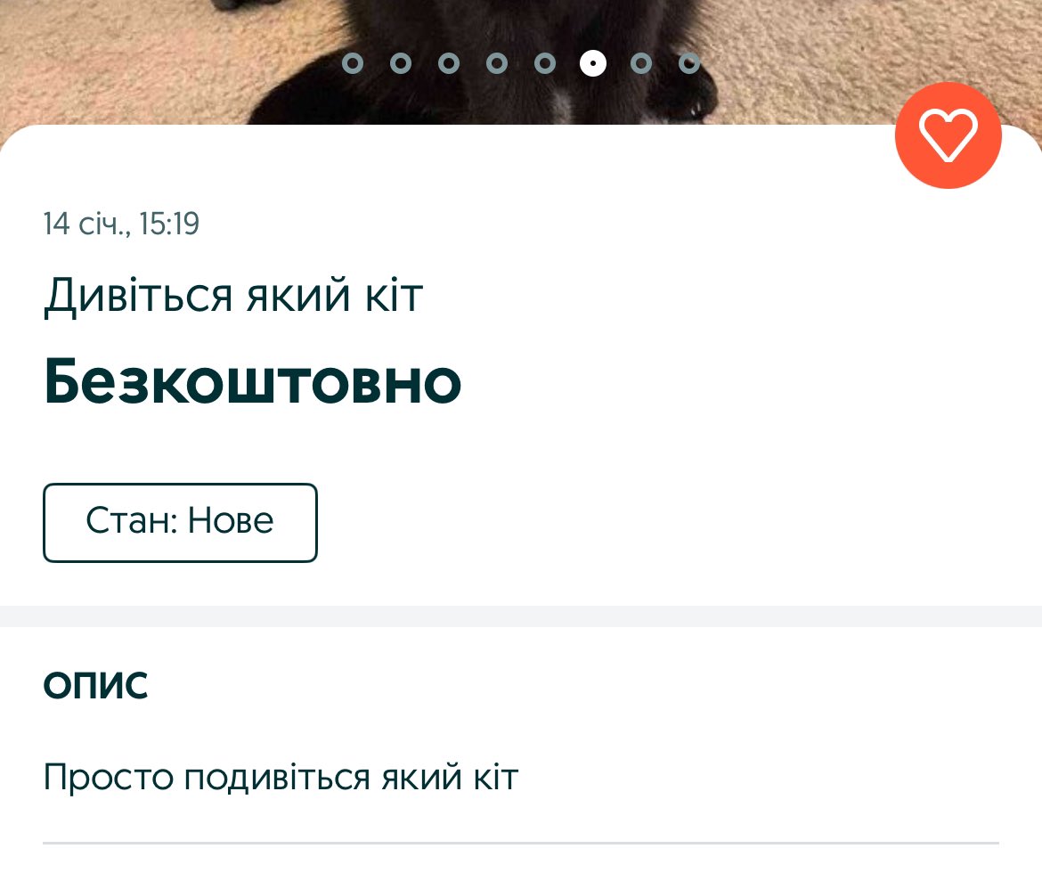 pani_knygarka's tweet photo. я просто перед сном заходжу на олх подивитись яких котів віддають безкоштовно.
тим часом в розділі безкоштовних котів…без смс і реєстрації. https://t.co/3IxeFxdAMV