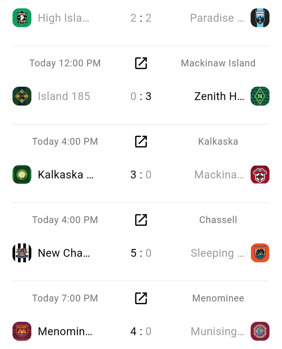 Northern Michigan Faux Football Leagues tweet media