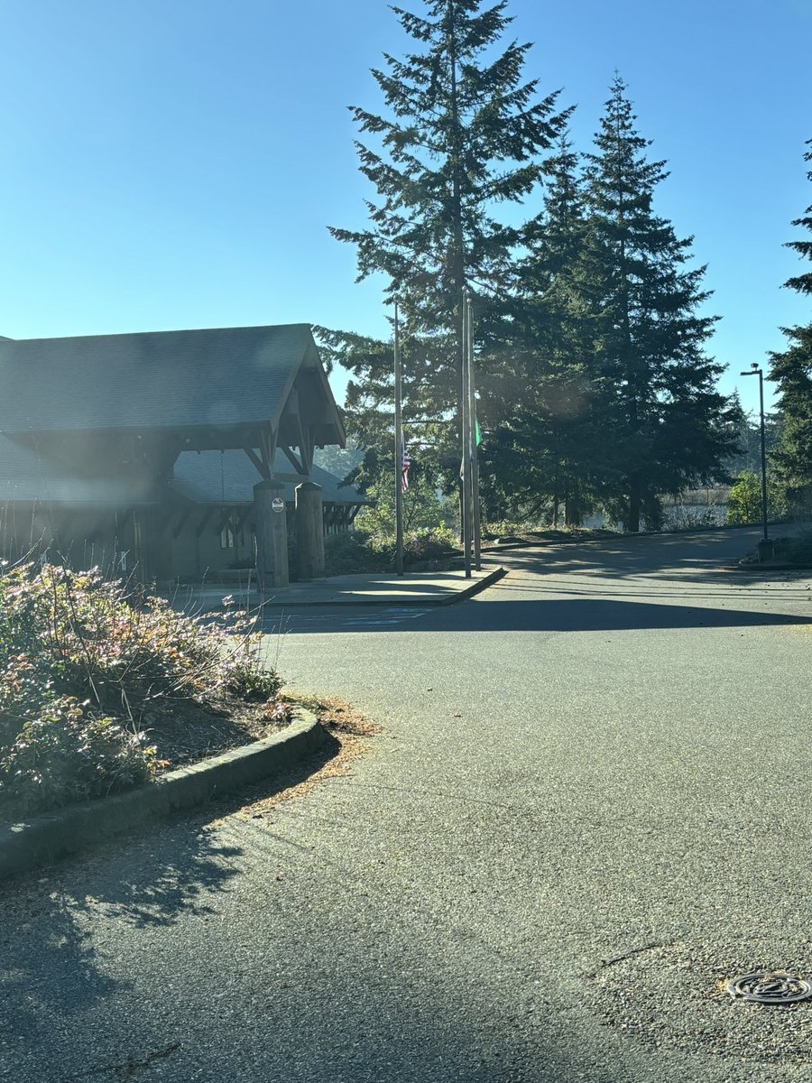 Flowermonkey tweet media