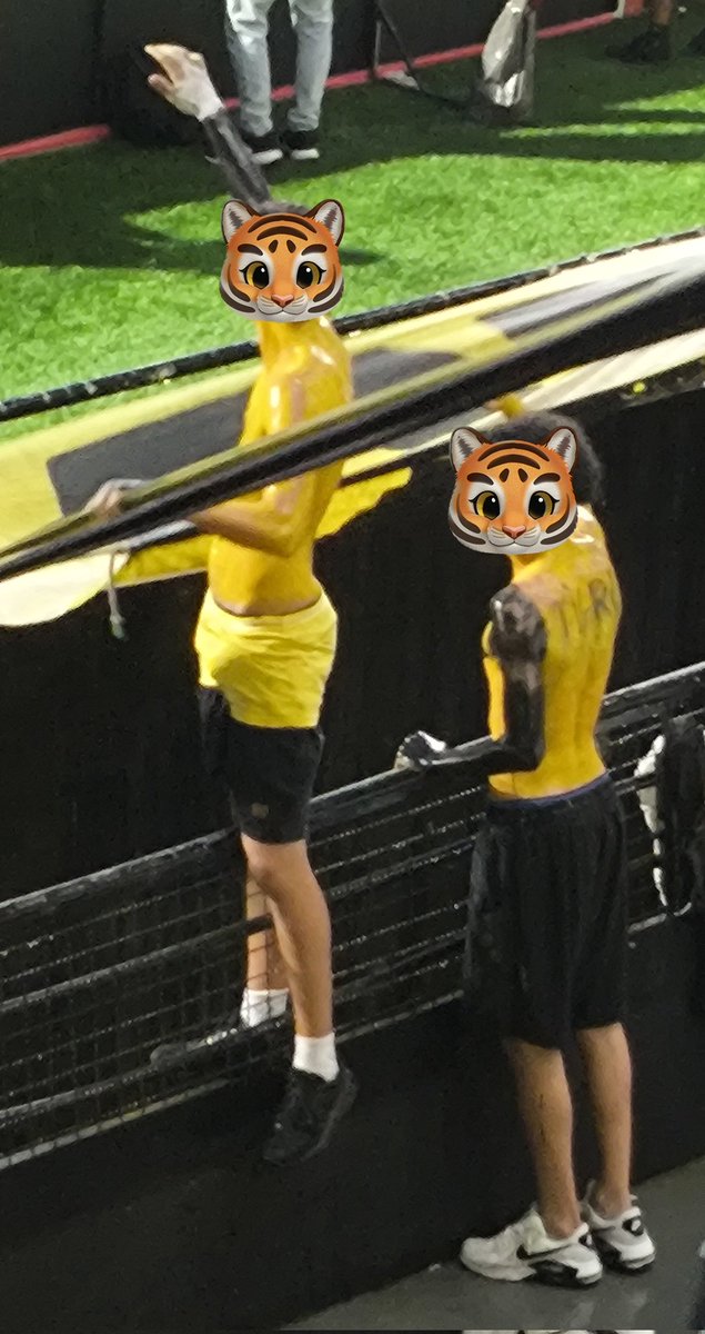 vhpirolla's tweet photo. DENUNCIA GRAVE: Os Simpsons do Tigre não são Simpsons de verdade, mas sim, pessoas pintadas. https://t.co/k6M63ey5nt
