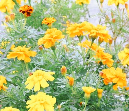 おはようございます⏰☀️𓈒𓂂𓏸(💖ᴗ͈ˬᴗ͈)ﾍﾟｺﾘ｡:.ﾟஐ⋆*🌷🌸🌺🌻🌸🌷🌼🌷🌸🌷🌼🌹•*¨*•...🌺..｡.:*🌷😆💐💖❤💝˚✩∗*ﾟ⋆｡˚✩☪︎⋆｡˚✩‧✧̣̥̇‧☽･:*(♥ω♥*)ｷｭﾝｷｭﾝ♡*゜🥰💕💕✨🎀💕💓💗😆💐💖❤💝🌷•*¨*•.¸¸♬︎♪♪(*´³`*)◌ 🫧♥𓂃 𓈒𓏸◌🍀🤍𖤐⸒⸒- ̗̀ ꒰ঌ💓໒꒱  ̖́-