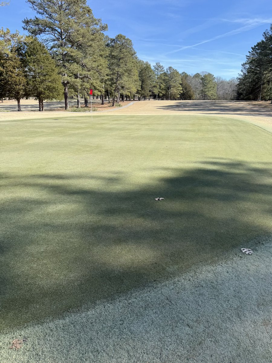 david_clowers's tweet photo. 20 of the last 23 days under cover. 1/25 uncovered and looked great. Now wait and see how they keep responding. #comeonspring https://t.co/cCZy8OkAri
