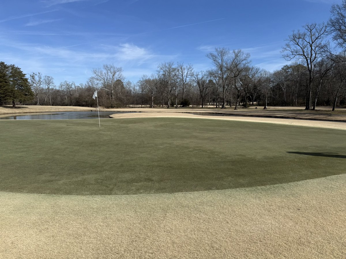 david_clowers's tweet photo. 20 of the last 23 days under cover. 1/25 uncovered and looked great. Now wait and see how they keep responding. #comeonspring https://t.co/cCZy8OkAri