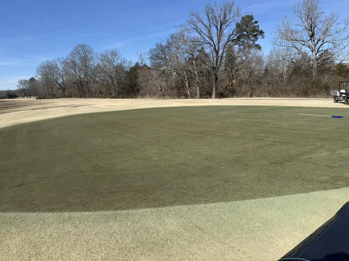 david_clowers's tweet photo. 20 of the last 23 days under cover. 1/25 uncovered and looked great. Now wait and see how they keep responding. #comeonspring https://t.co/cCZy8OkAri