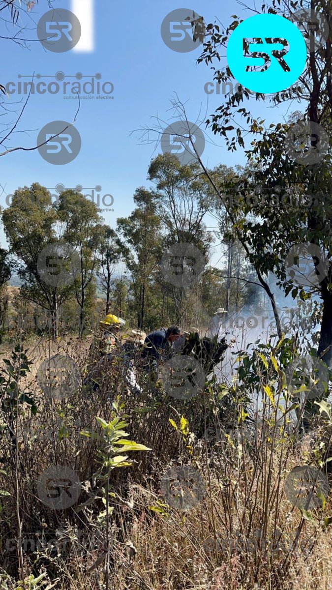 laredcincoradio's tweet photo. 🔥🚒|| Se registra un fuerte incendio en la zona serrana cerca de las pirámides de Cacaxtla, en Nativitas, Tlaxcala. El personal de Protección Civil y bomberos ya están trabajando para controlar el siniestro. #Incendio #Cacaxtla #Tlaxcala https://t.co/kpqGZ6ZQN0