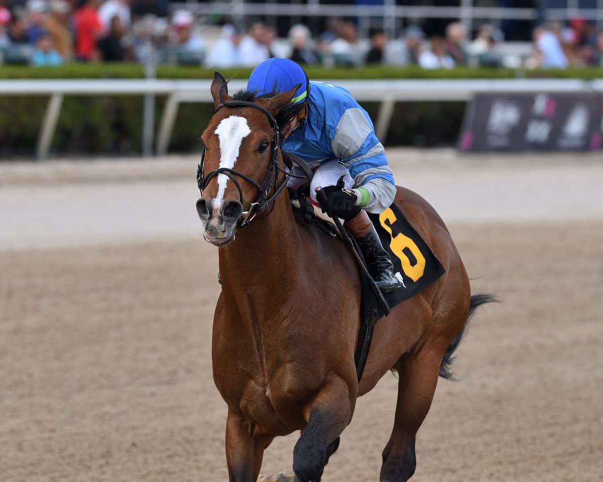 GulfstreamPark's tweet photo. Cyclone Mischief wins with authority in the 9th race under @iradortiz, @Romansracing for trainer Albaugh Family Stables. #GulfstreamPark #ChampionshipMeet https://t.co/NGLkOVxEQL