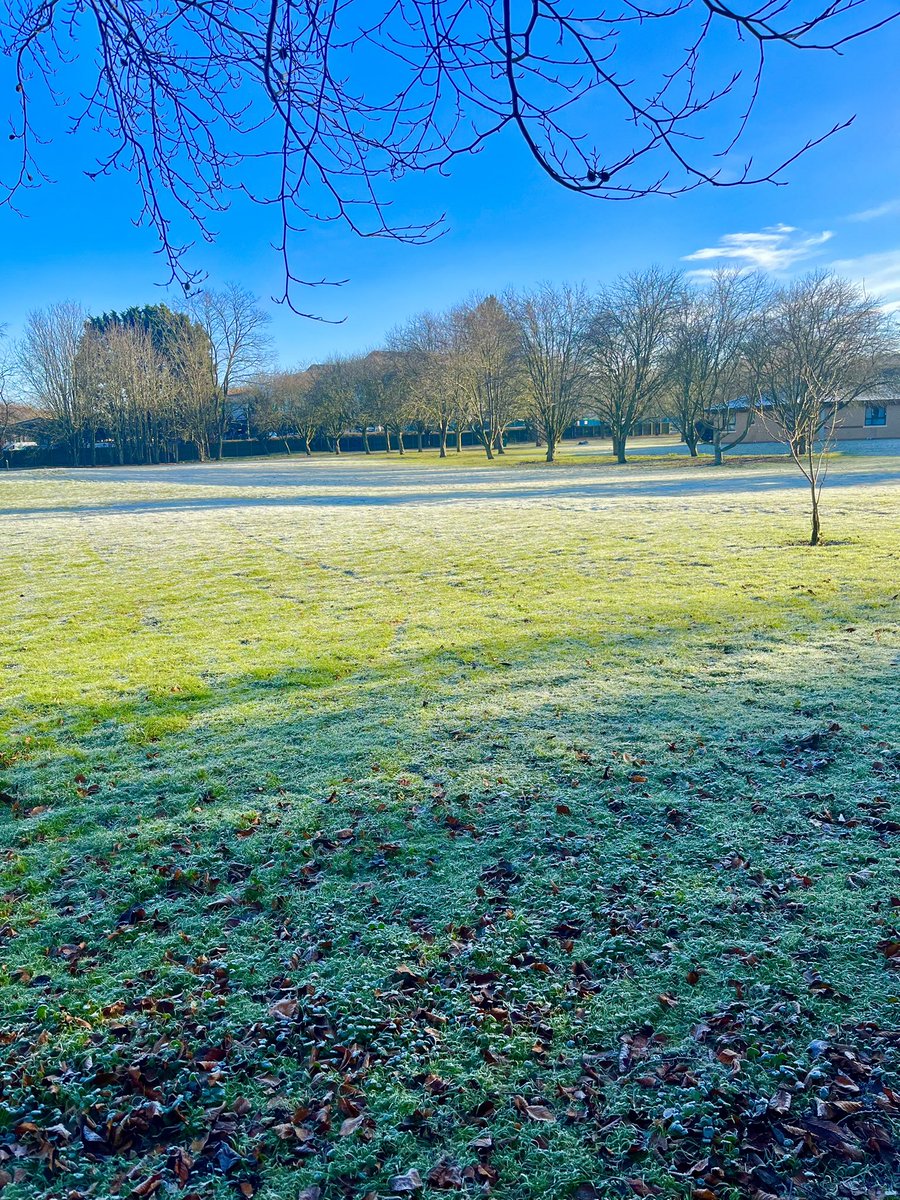 Chloe Carter tweet media