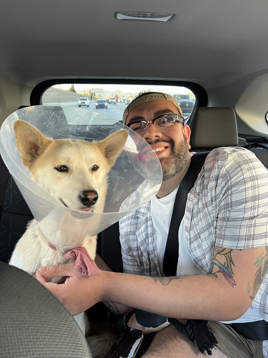 Digimonpapi's tweet photo. Dog Dad 🐕 https://t.co/EAbwgsR5NN