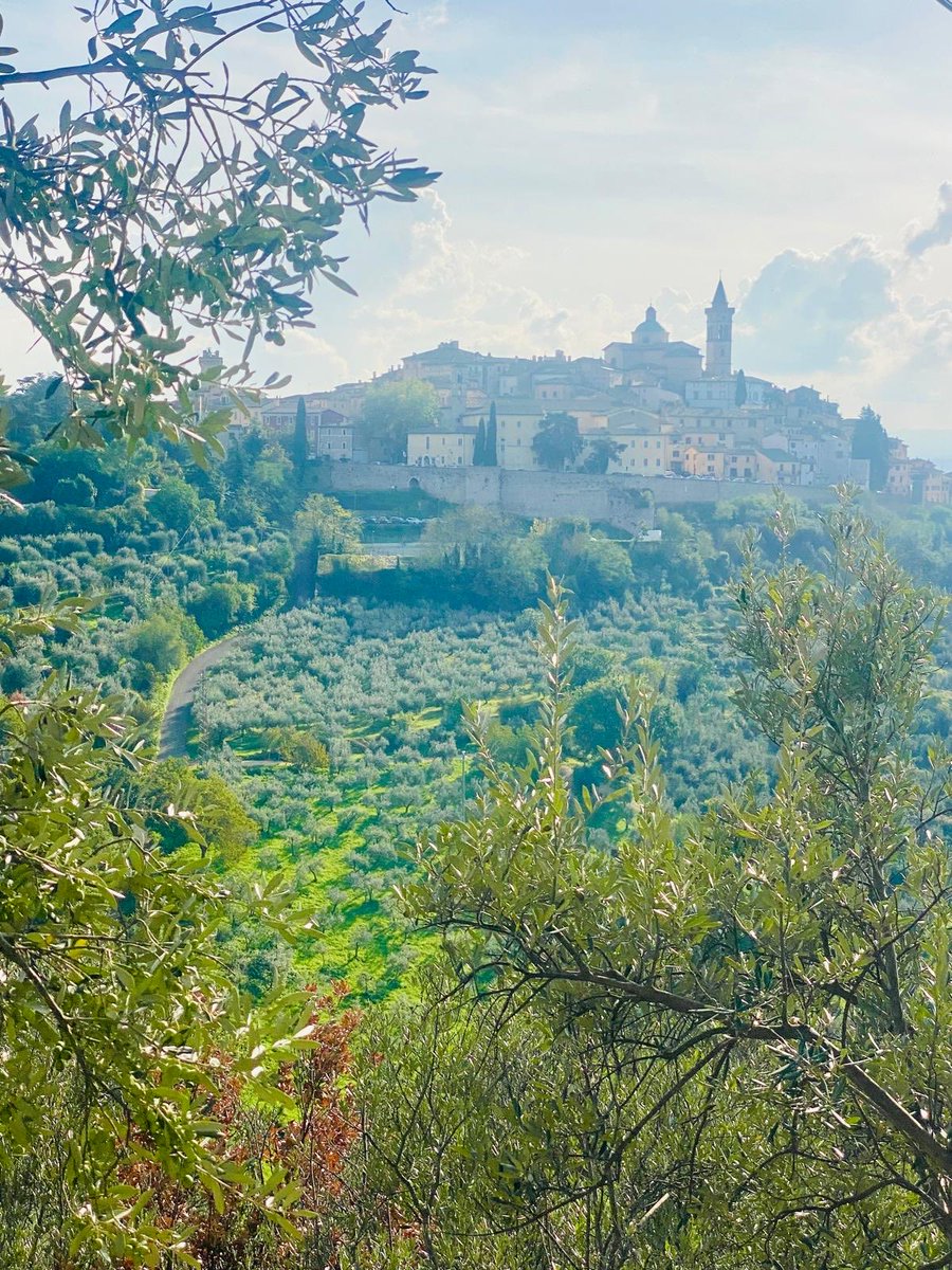 malte oppermann (@oppermannphilo) on Twitter photo 