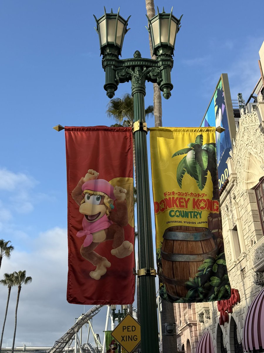 yukinojyou4's tweet image. この子のパワーアップバンド無いやん。

可哀想〜

#USJファン