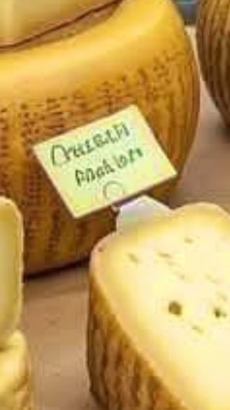 HarrowedHermit's tweet photo. @EvasTeslaSPlaid Nice try but that’s not Italian https://t.co/amRcYEFM2k