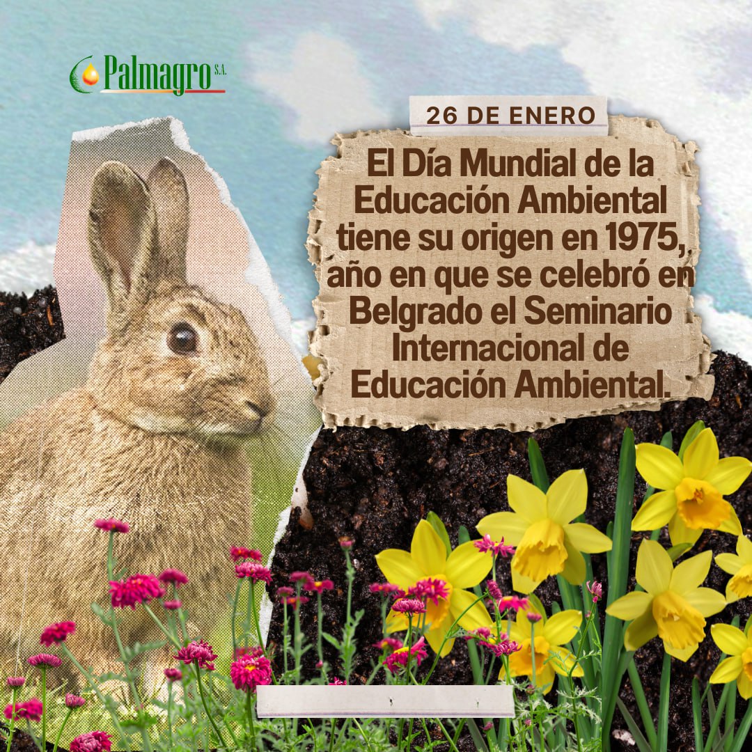 Palmagro_SA's tweet photo. https://t.co/cZBINkM3a2