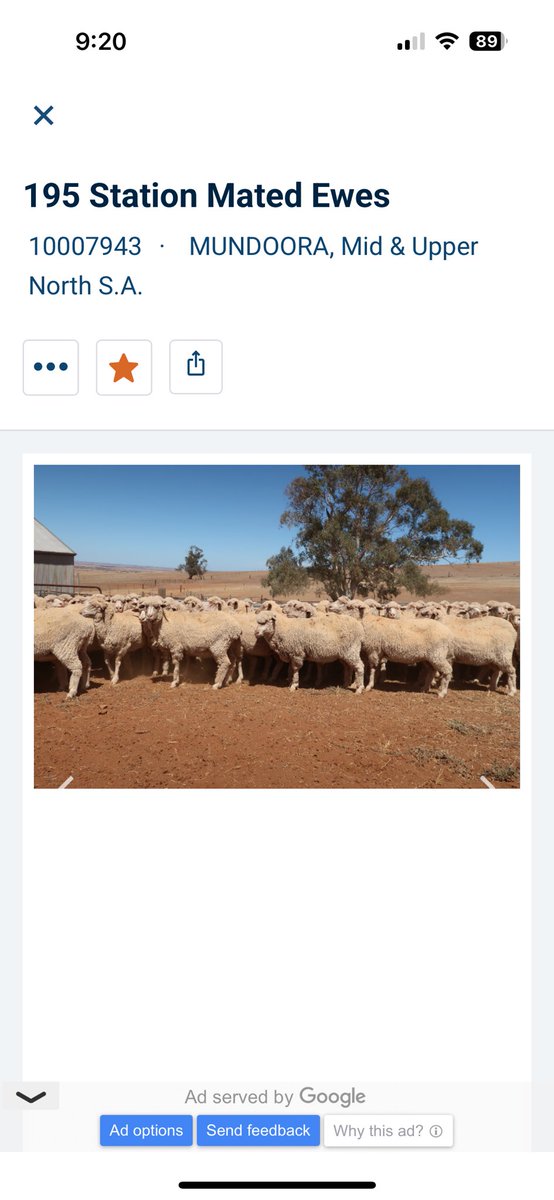 Jason Dalling tweet media