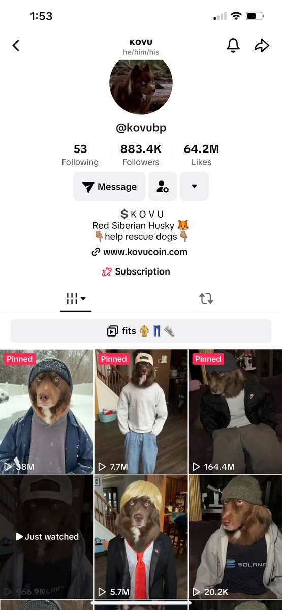 GetsugaCrypto's tweet photo. @adinross @notthreadguy $KOVU is the IRL chillguy… billions of views on TikTok and the owner of the pup is a top holder and active in the community. Fully doxxed team. Seriously undervalued.
@kovubp https://t.co/xNrglkPN4d