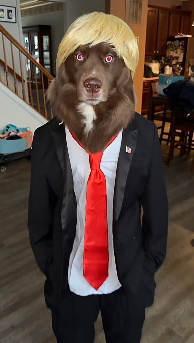 GetsugaCrypto's tweet photo. @adinross @notthreadguy $KOVU is the IRL chillguy… billions of views on TikTok and the owner of the pup is a top holder and active in the community. Fully doxxed team. Seriously undervalued.
@kovubp https://t.co/xNrglkPN4d