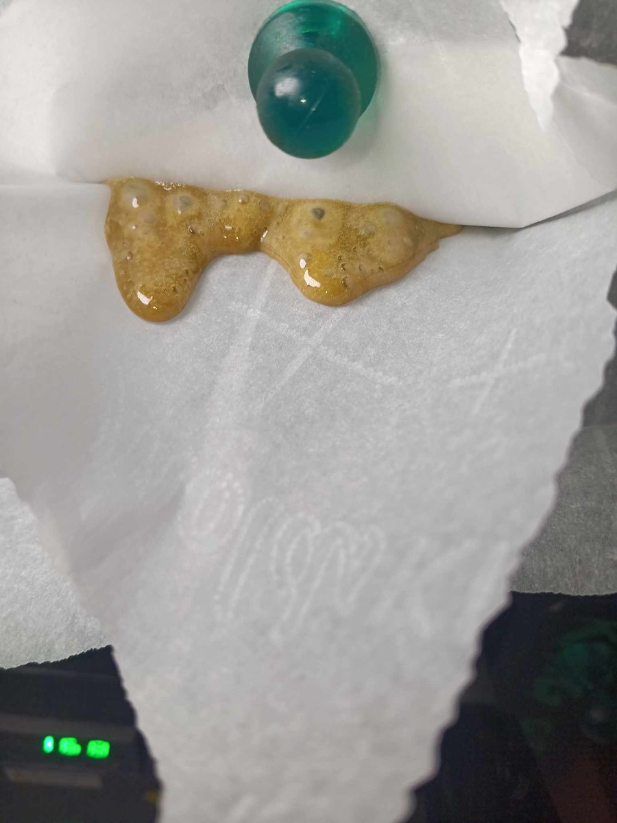 LiciousTt's tweet photo. From this to that!  Rosin Alert

12 Grams of True OG Hash (Fresh Frozen)
Dried the Hash in my HerbsNow in 1.5 days... fricking amazing!

Pressed @ 165 for 4m30sec in 35 micron double bagged!
Was able to get 10.2grams of Fire Fire Rosin.

#growyourown #dabpress #cannaland #420life https://t.co/QhjBFmPeTt