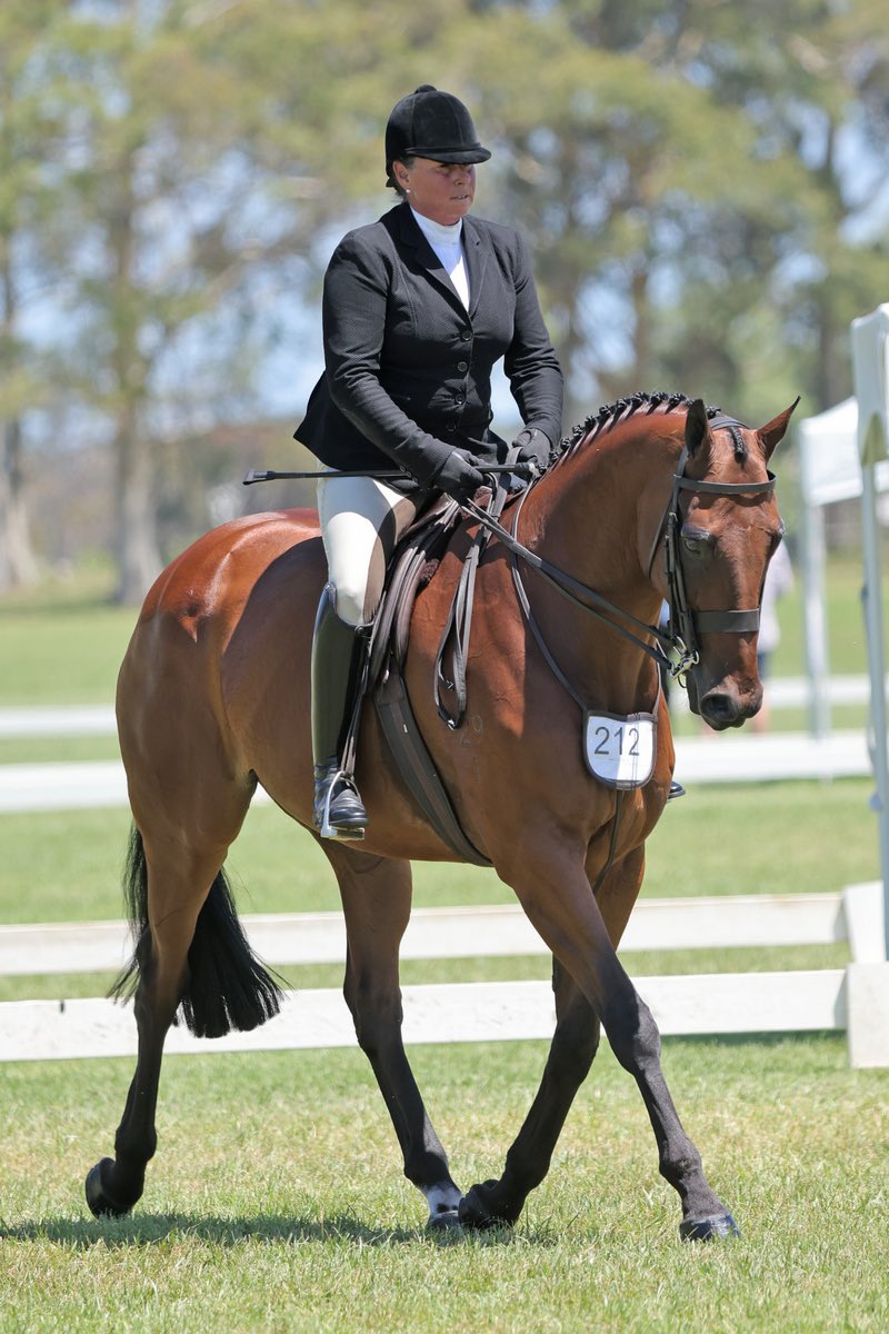 Fiona McIntyre (@thefifi) on Twitter photo Thank you <a href="/AusJumpsRacing/">Australian Jumps Racing Association</a> for sponsoring a prize for the best performed OTT that have competed in jumps racing ❤️ at the Show Horse Council of Victoria Horse of the Year.
Westminster raced in the up and overs as “The Arod” also won the highest placed TB in the open class Thank you <a href="/AusJumpsRacing/">Australian Jumps Racing Association</a> for sponsoring a prize for the best performed OTT that have competed in jumps racing ❤️ at the Show Horse Council of Victoria Horse of the Year.
Westminster raced in the up and overs as “The Arod” also won the highest placed TB in the open class