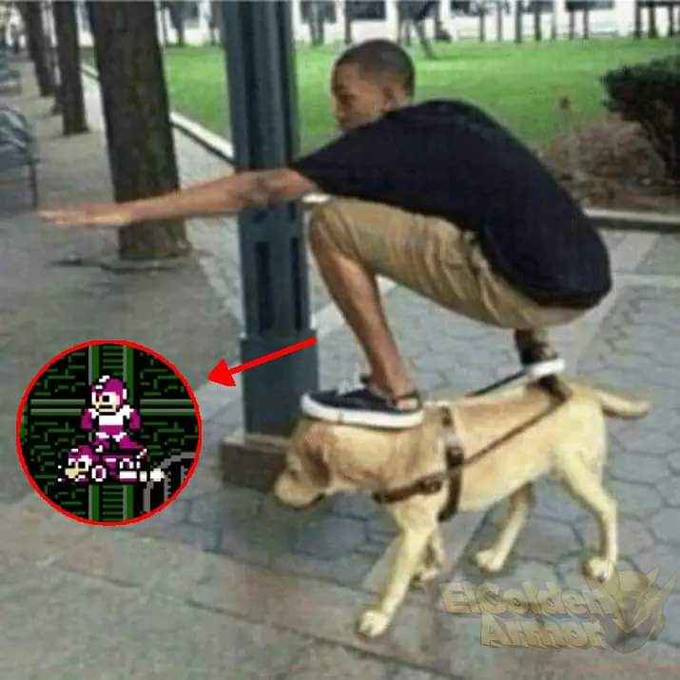 Zhoomker tweet media