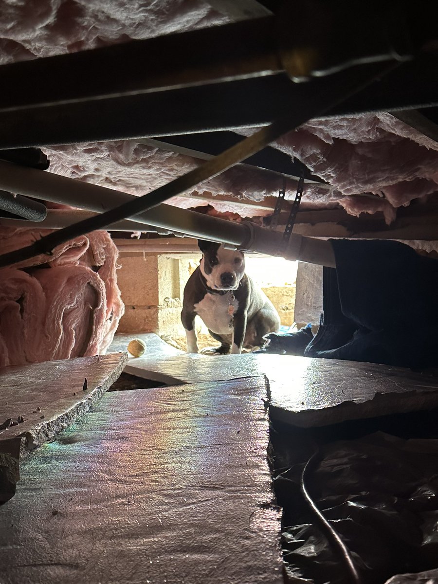 Casey Seitz tweet media