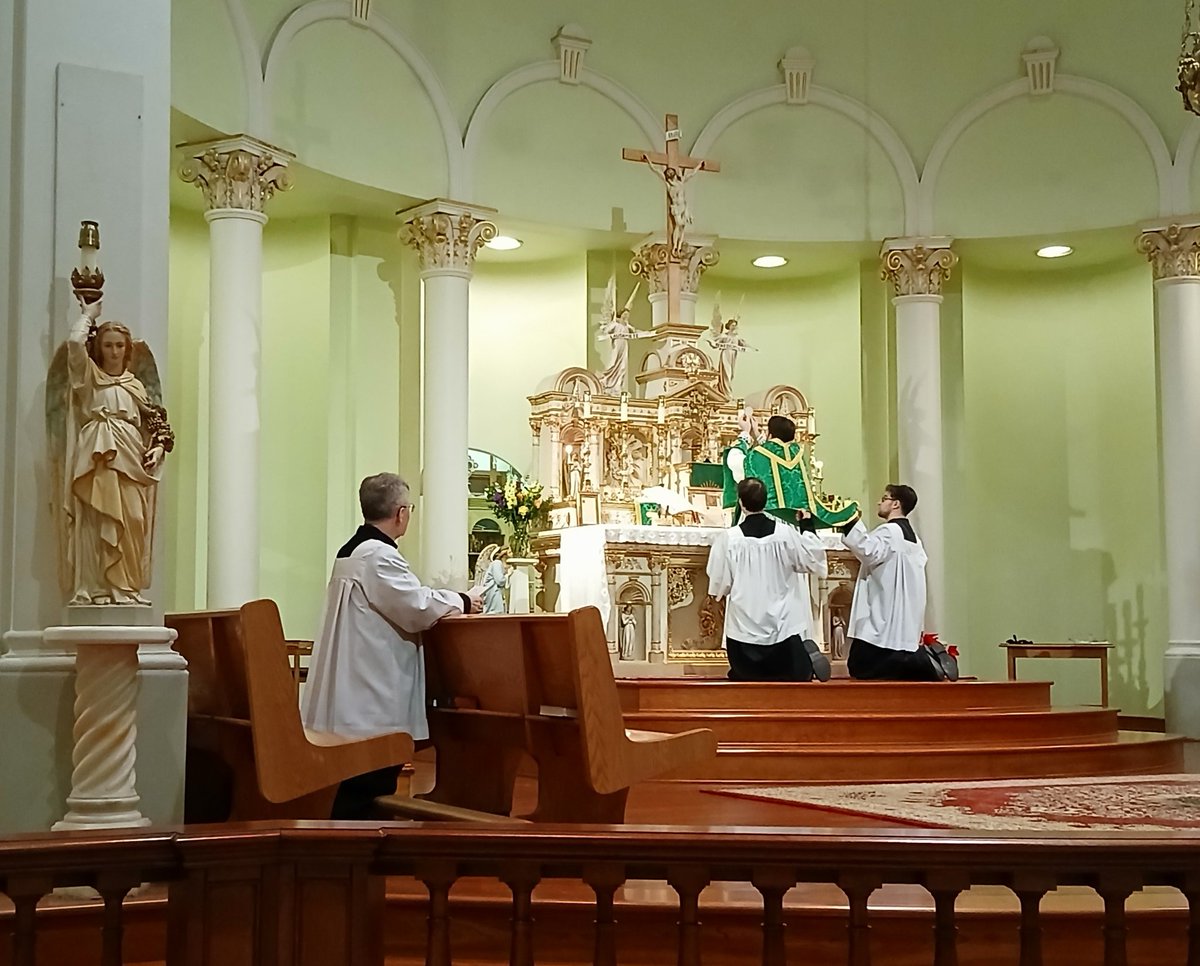 JohnZwicker1's tweet photo. Let us pray.
O Lord, as You grant us to use this great sacrament, deign, we beseech You, to make us truly worthy of its fruits.
~ #PostCommunion

A 🙏 4U here https://t.co/pNs3C1XyZI